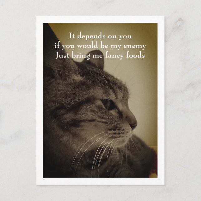 Cartão Postal Cartão-postal de boas-vindas da sala legal e engra (Frente)