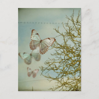 Cartão Postal Cartão-postal de borboletas