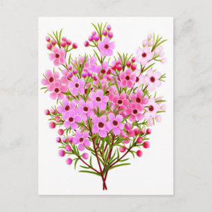Cartão Postal Cartão-postal de Buquê de Flor de Cera