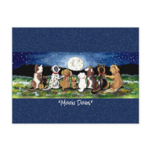 Cartão-postal de Cachorro Cão na Lua