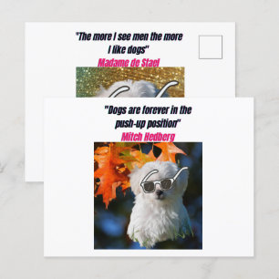 Cartão Postal Cartão-postal de Cachorro Engraçado