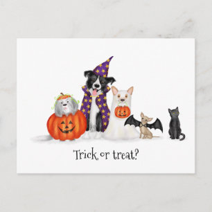 Cartão Postal Cartão-postal de cães de Halloween