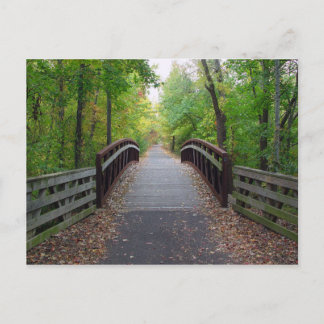 Cartão Postal Cartão-postal de caminho de floresta