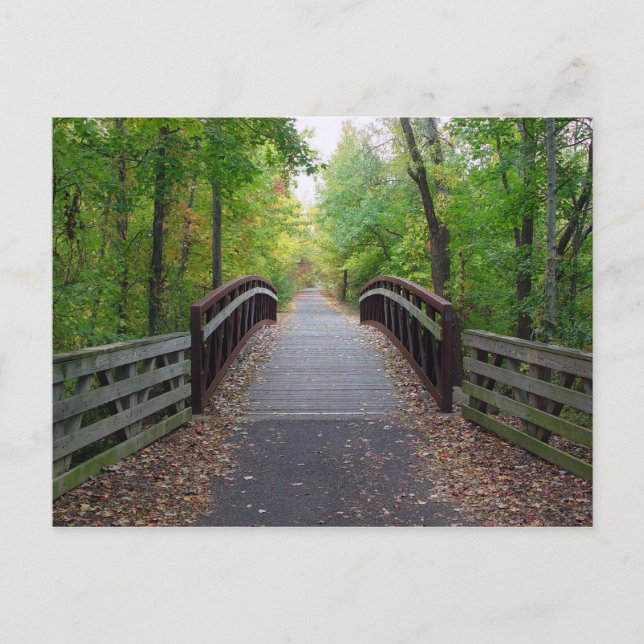 Cartão Postal Cartão-postal de caminho de floresta (Frente)
