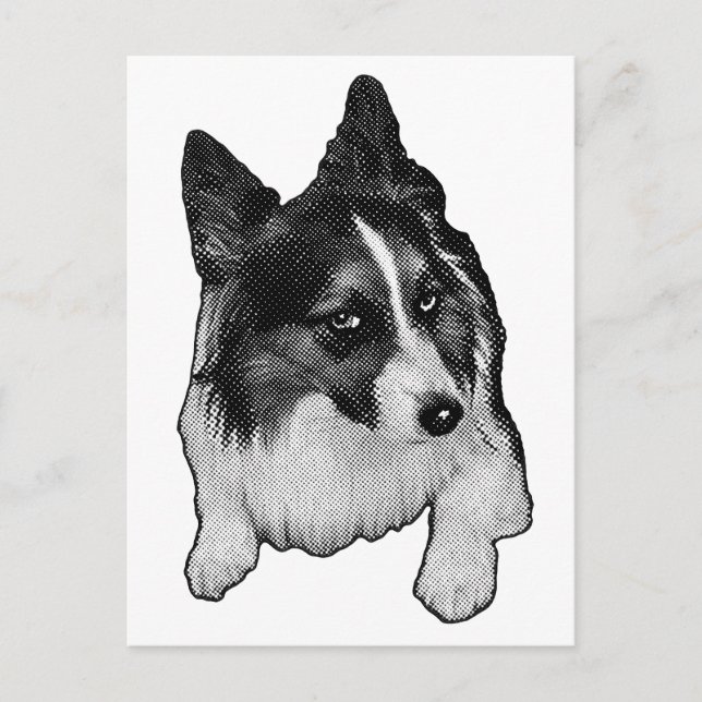 Cartão Postal Cartão-postal de caminho de neve (Frente)