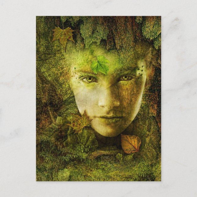 Cartão Postal Cartão-postal de campanha (Frente)