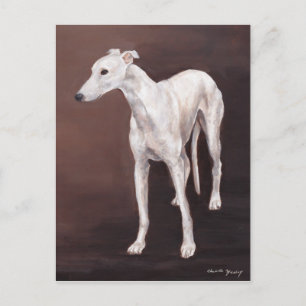 Cartão Postal Cartão-postal de cãozinho branco