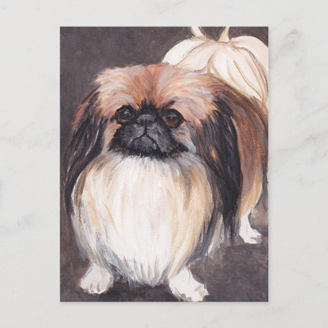 Cartão Postal Cartão-postal de cãozinho de Pekingese (Frente)