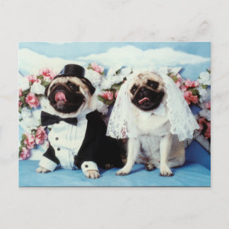 Cartão Postal Cartão-postal de Casamento de Cães Pug