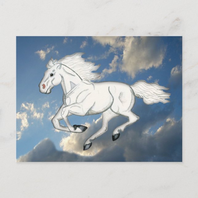 Cartão Postal Cartão-postal de Cavalo do Céu Branco (Frente)