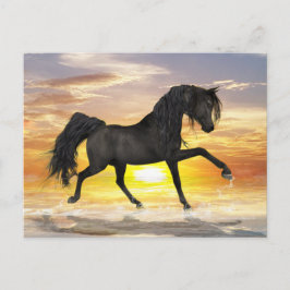 Cartão Postal Cartão-postal de Cavalo Negro