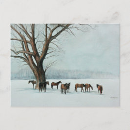 Cartão Postal Cartão-postal de "Cavalos na Neve"