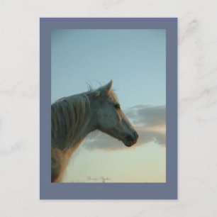 Cartão Postal Cartão-postal de cavalos, personalizável 6