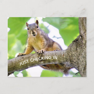 Cartão Postal Cartão-postal de check-in