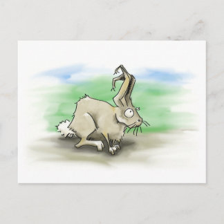 Cartão Postal Cartão-postal de coelho