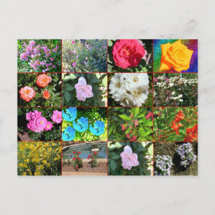 Cartão Postal Cartão-postal de Colagem de Flor
