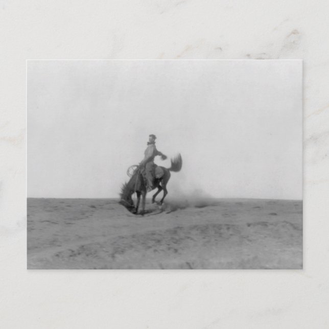 Cartão Postal Cartão-postal de compra do Bronco (Frente)