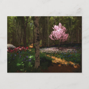 Cartão Postal Cartão-postal de concerto de Cherry Tree