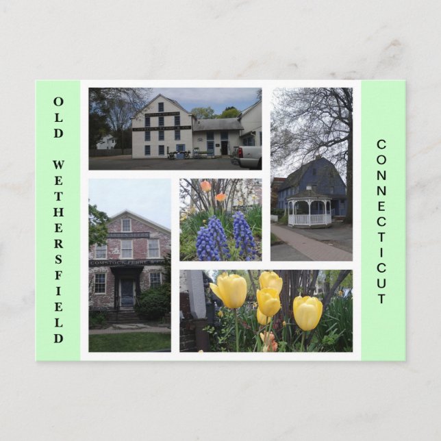 Cartão Postal Cartão-postal de Connecticut Wethersfield Antigo (Frente)
