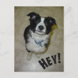 Cartão Postal Cartão-postal de cópia