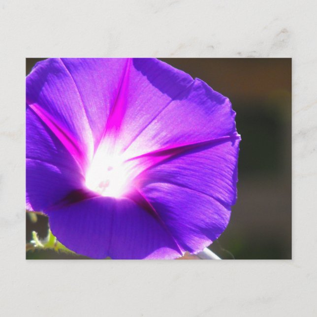 Cartão Postal Cartão-postal de coração brilhante (Frente)