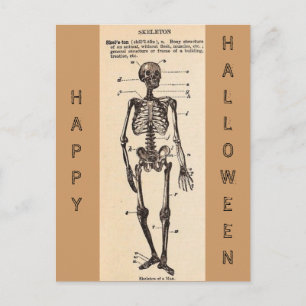 Cartão Postal Cartão-postal de definição de "esqueleto" da Vinta