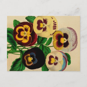 Cartão Postal Cartão-postal de Desenho de Vintagem de Painéis