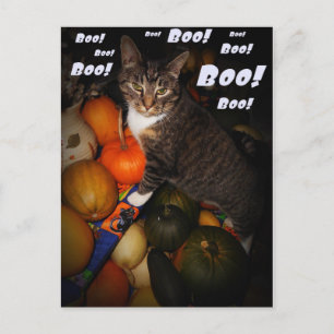 Cartão Postal Cartão-postal de Dia das Bruxas de Cat e Pumpkin