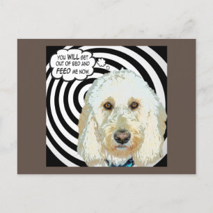 Cartão Postal Cartão-postal de Dias de Porodle História em quadr