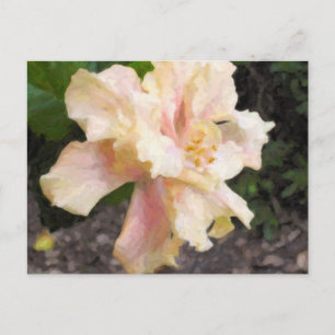 Cartão Postal Cartão-postal de dupla hibiscus