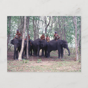 Cartão Postal Cartão-postal de elefante asiático