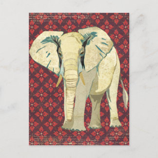 Cartão Postal Cartão-postal de elefante branco