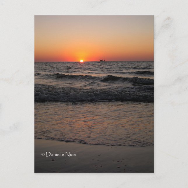 Cartão Postal Cartão-postal de entrega pirata (Frente)