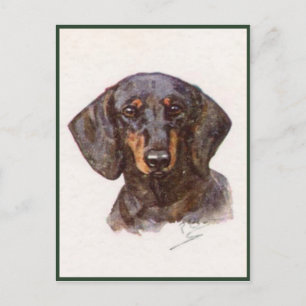 Cartão Postal Cartão-Postal De Estilo Vintage Com Dachshund Cute