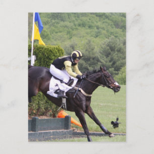 Cartão Postal Cartão-postal de Eventos de Cavalos