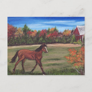 Cartão Postal Cartão-postal de execução de liberdade