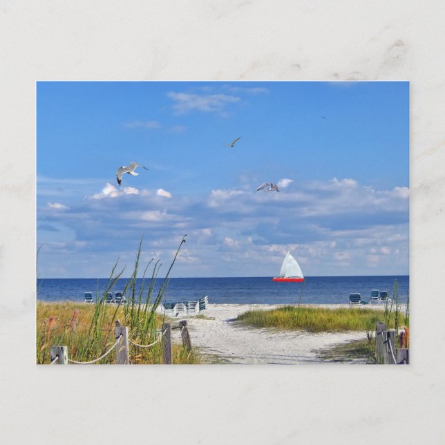 Cartão Postal Cartão-postal de exibição em praia e oceano (Frente)