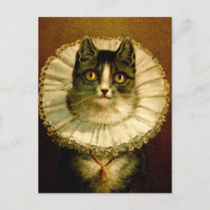 Cartão Postal Cartão-postal de fantasia de colarinho Elizabethan