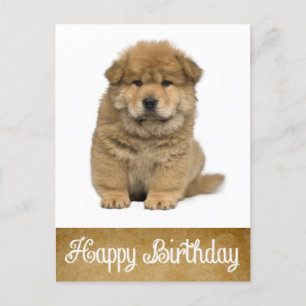 Cartão Postal Cartão-postal de Feliz Aniversário Chow Chow Puppy