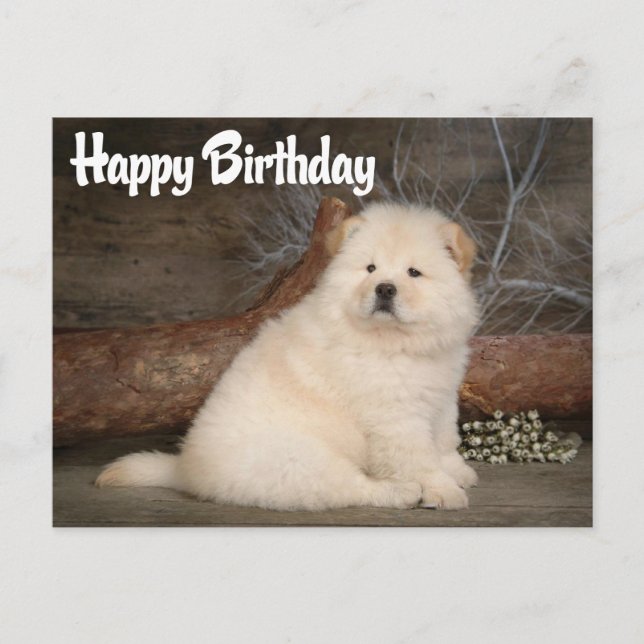 Cartão Postal Cartão-postal de Feliz Aniversário Chow Chow Puppy (Frente)