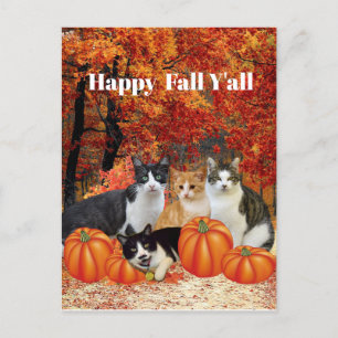 Cartão Postal Cartão-postal de Feliz Queda Y Cats e Pumpkins