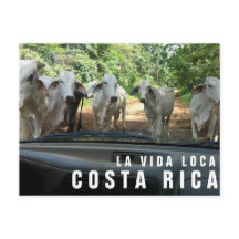 Cartão-postal de Férias do Paraíso