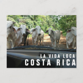 Cartão Postal Cartão-postal de Férias do Paraíso