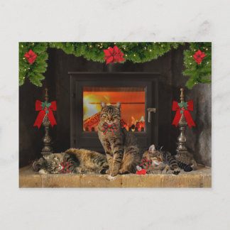 Cartão Postal Cartão-postal de férias "Feliz Natal"
