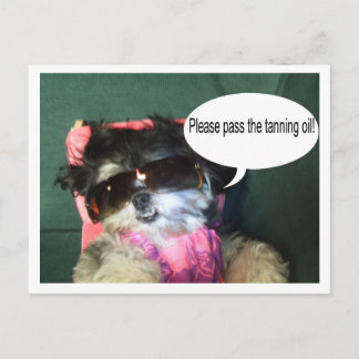 Cartão Postal Cartão-postal de férias tropical