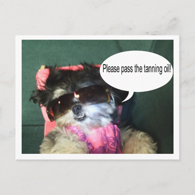 Cartão Postal Cartão-postal de férias tropical (Frente)