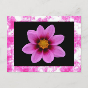 Cartão Postal Cartão-postal de Flor Rosa