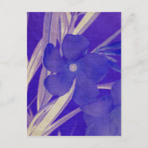 Cartão Postal Cartão-postal de Flor Roxo