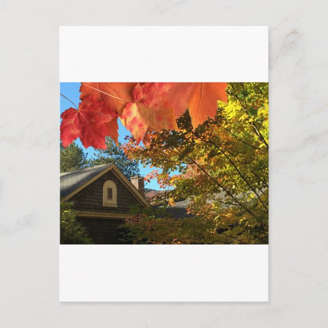 Cartão Postal Cartão-postal de Folhagem de Barn Antigo (Frente)