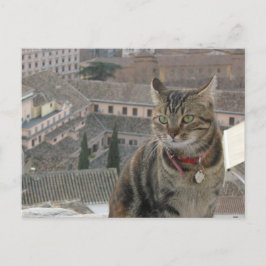 Cartão Postal Cartão-postal de foto Cat